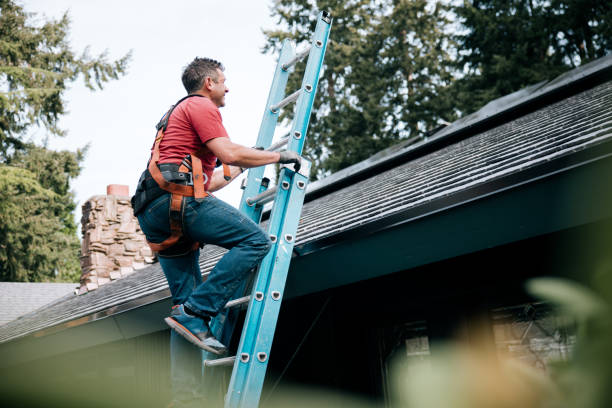 Best Solar Panel Roofing Installation  in Cottonwood, ID