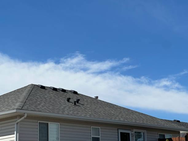 Best Sheet Metal Roofing  in Cottonwood, ID